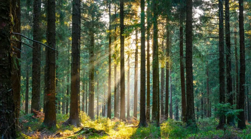  Thought Mortality Was Dead? Considerations for Pensions Given the IRS’s Delay in Implementing RP-2014 Featured Image