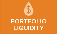 Portfolio Liquidity