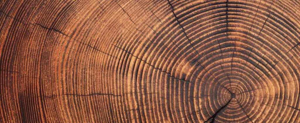  Case Study: Building custom portfolios to reflect each family member’s distinct impact investing goals Featured Image