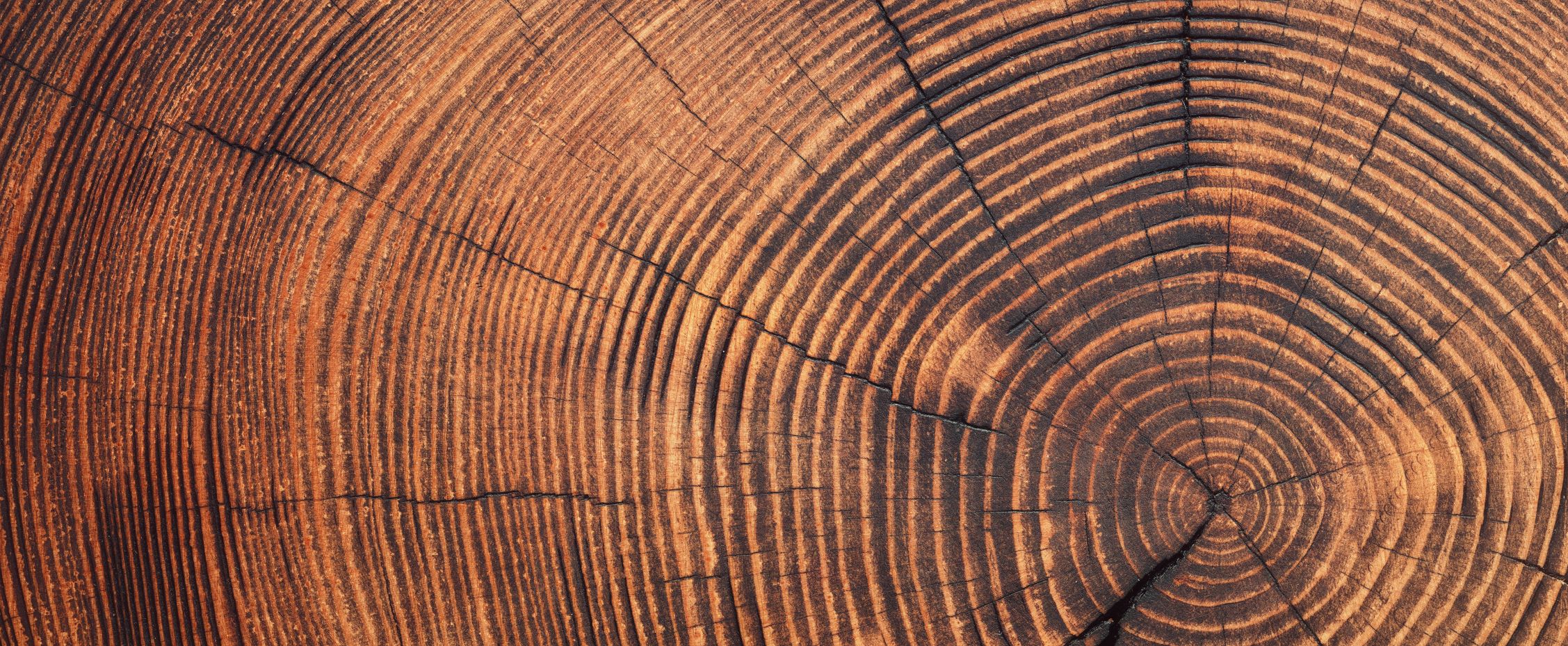 Case Study: Building custom portfolios to reflect each family member’s distinct impact investing goals