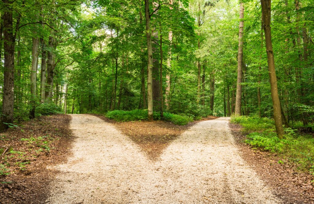  VantagePoint: Modern Portfolio Diversification Featured Image