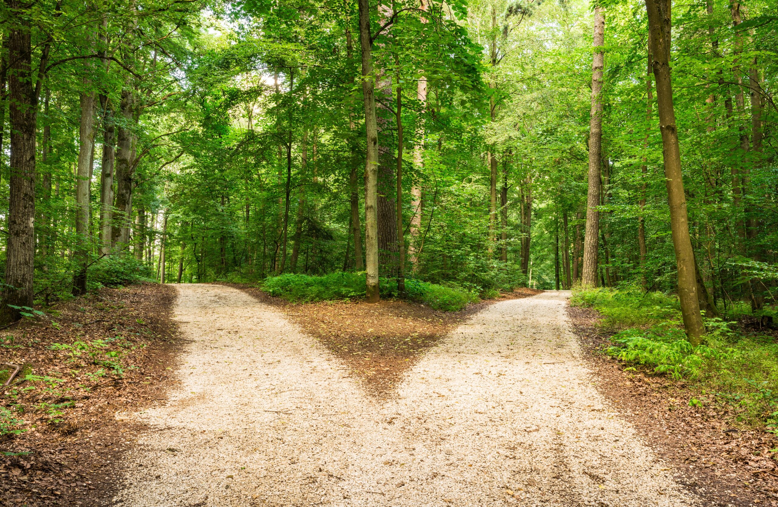 VantagePoint: Modern Portfolio Diversification