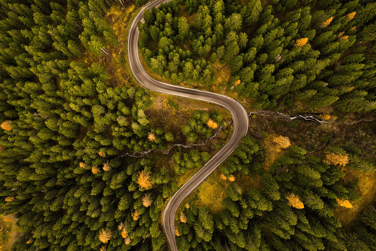 Navigating Market Crises