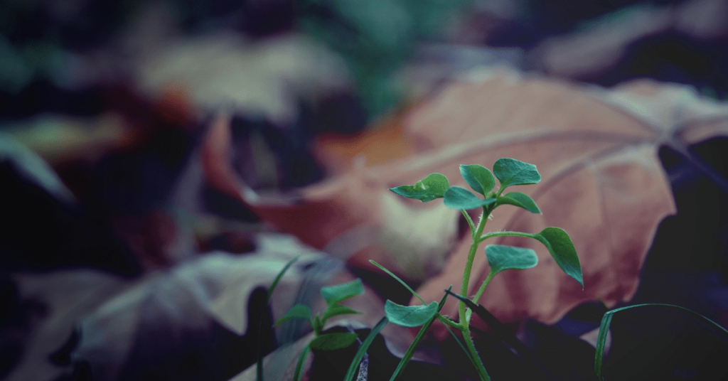  Outlook 2021: A Year of Healing Featured Image