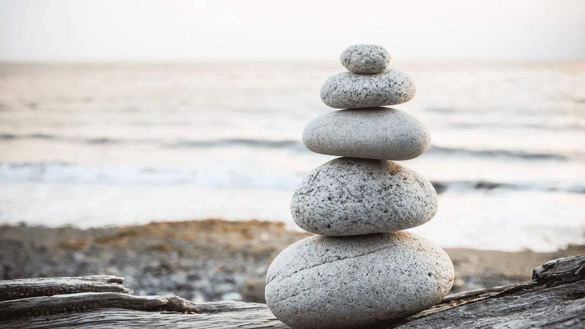 Structuring Healthcare System Investments for Success