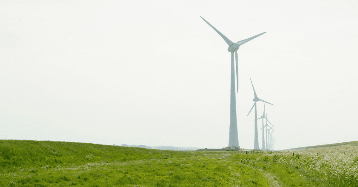 Investing for a Net-Zero World: A Guide for Investors