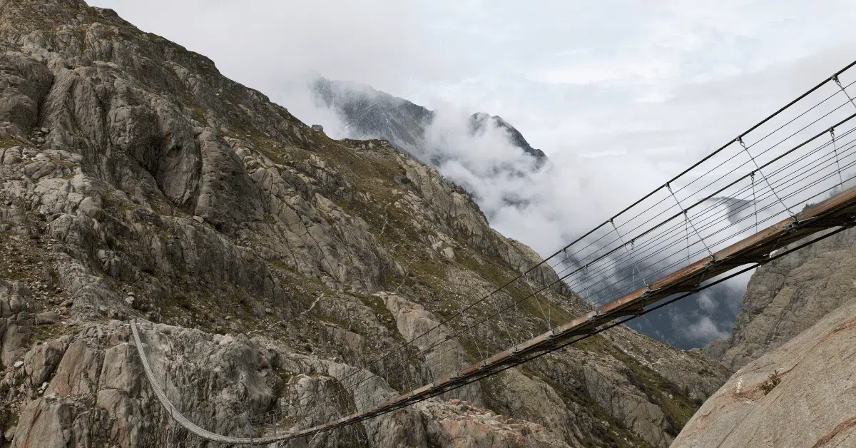 Improving Investment Returns: Manager Sizing With Active Risk