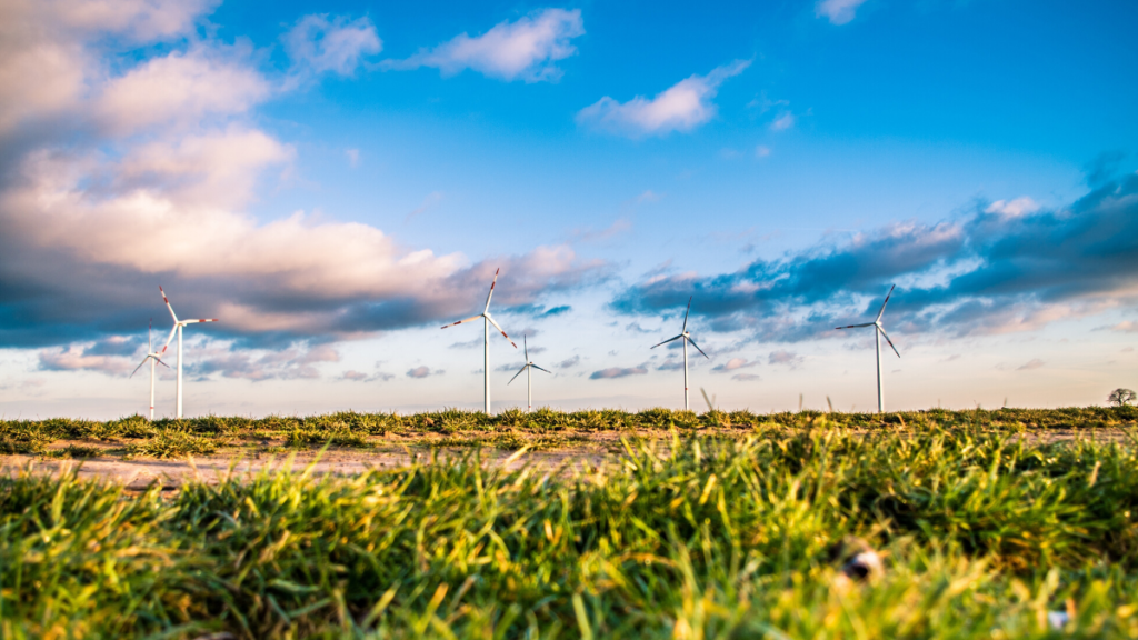  The Materiality of Sustainability for Investors Featured Image