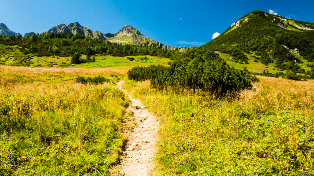  Room to Run for Muni Bonds Featured Image