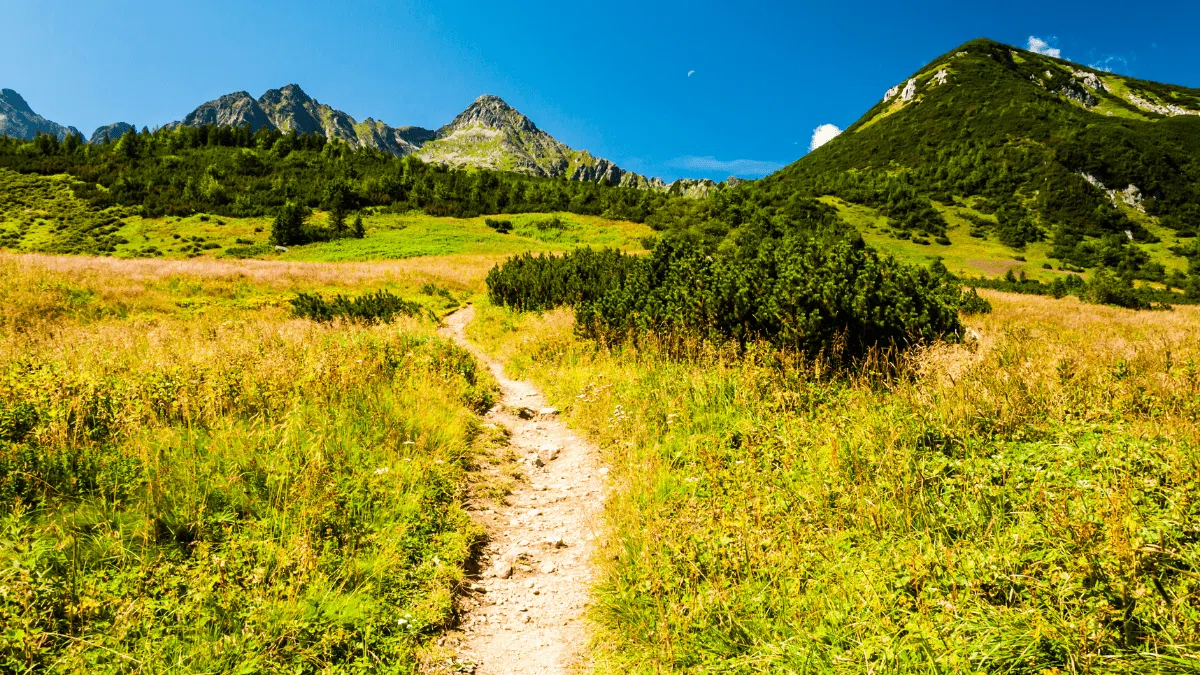 Room to Run for Muni Bonds