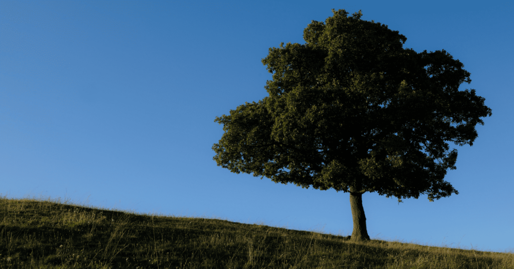  VantagePoint: Can Value Outperformance Endure? Featured Image