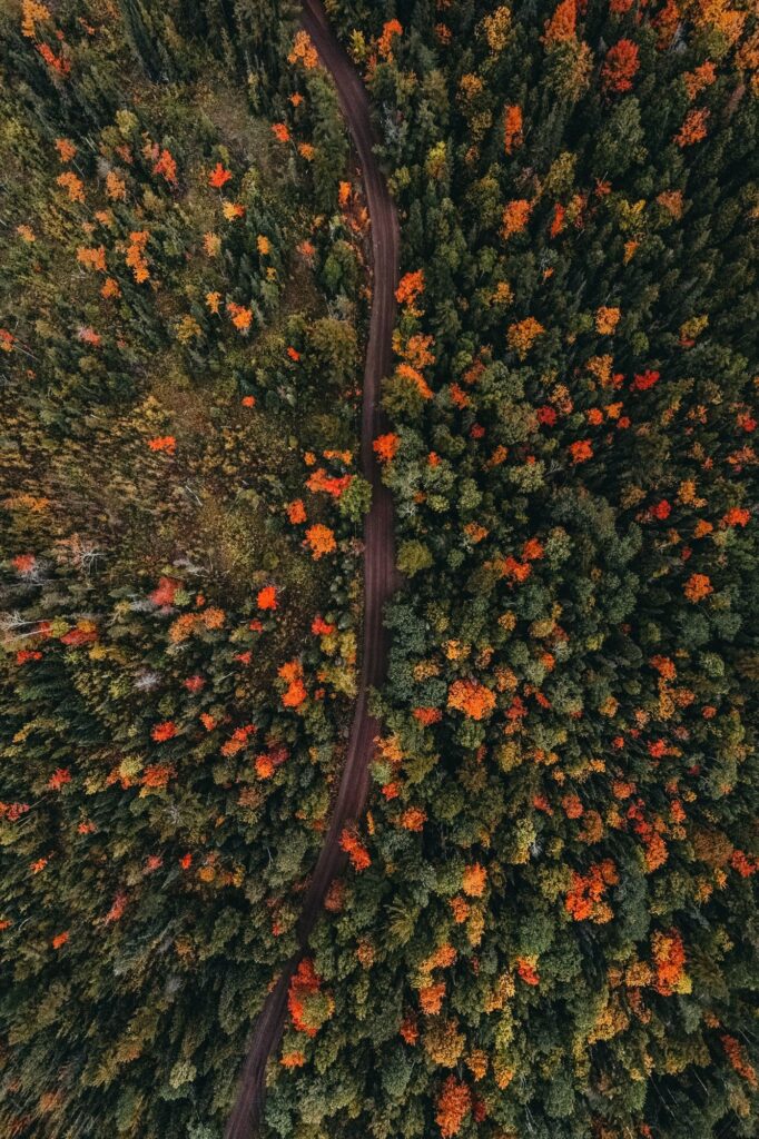  Risks and Opportunities From the Changing Climate: Playbook for the Truly Long-Term Investor Featured Image