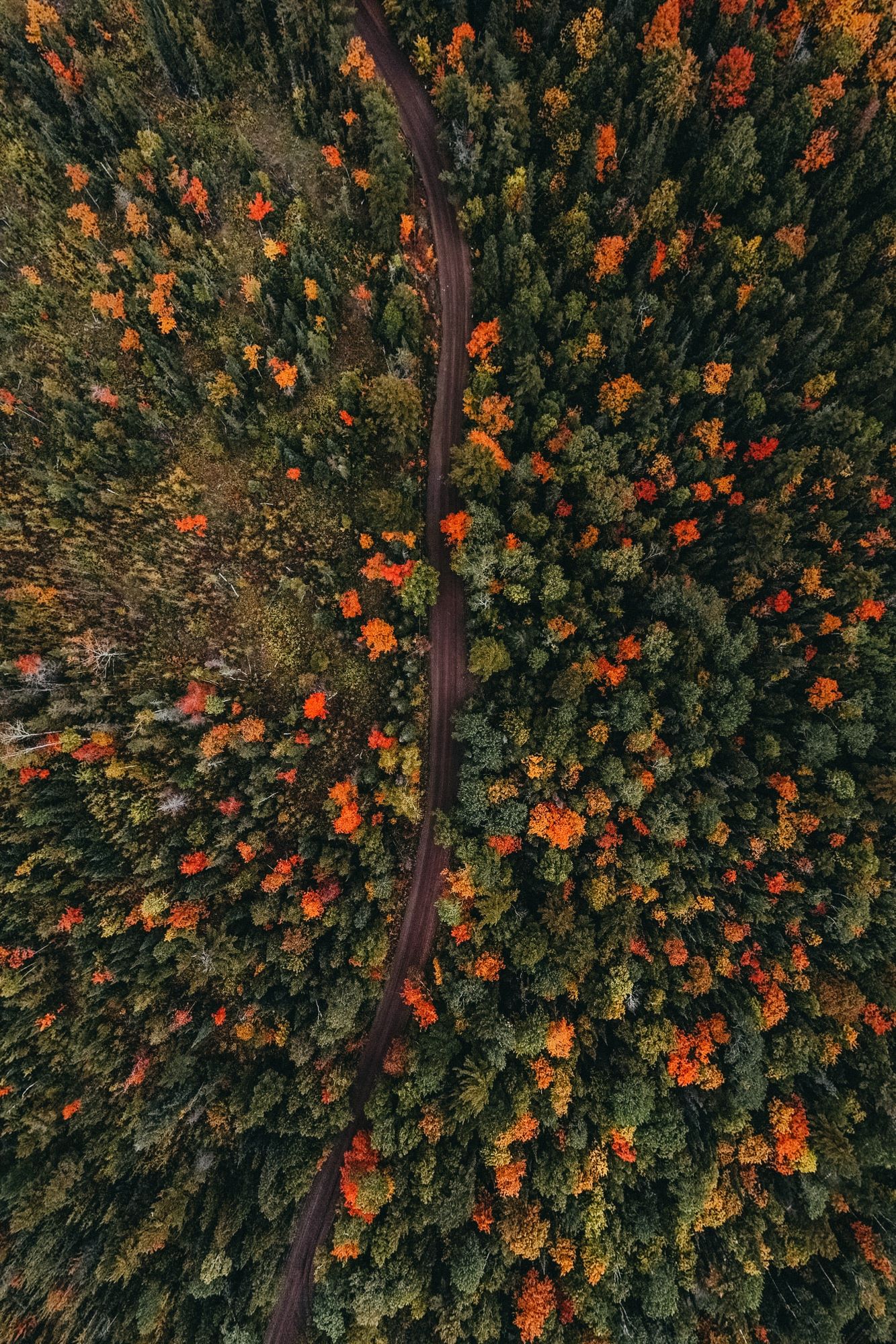 Risks and Opportunities From the Changing Climate: Playbook for the Truly Long-Term Investor