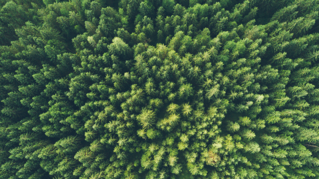  What Long-Term Investment Implications Should Investors Be Monitoring Related to the War in Ukraine? Featured Image