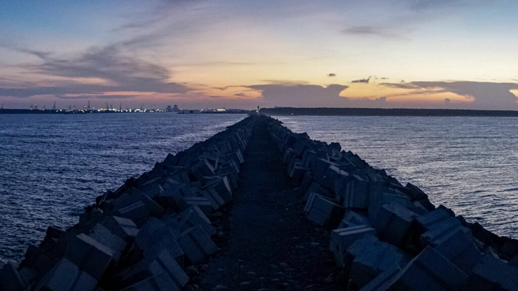  Asia Insights: Playing Defense Featured Image