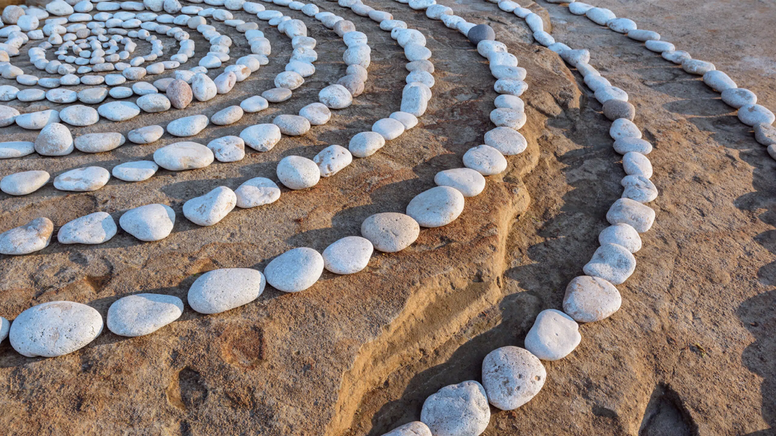 Optimizing Wealth Transfer for Families: A Focus on Next Gen Investors