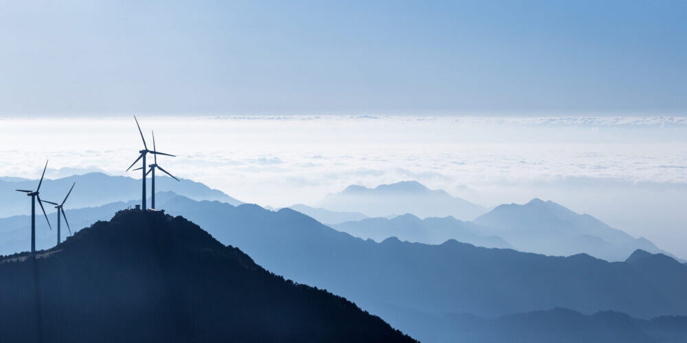 Sustainable and Impact Investing 2022: Insights and Perspectives