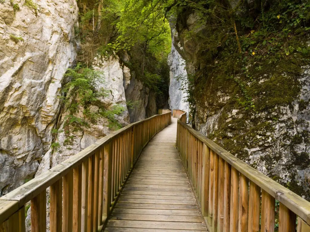  Video: While Great Entrepreneurs Leap, Great Investors Plan Featured Image