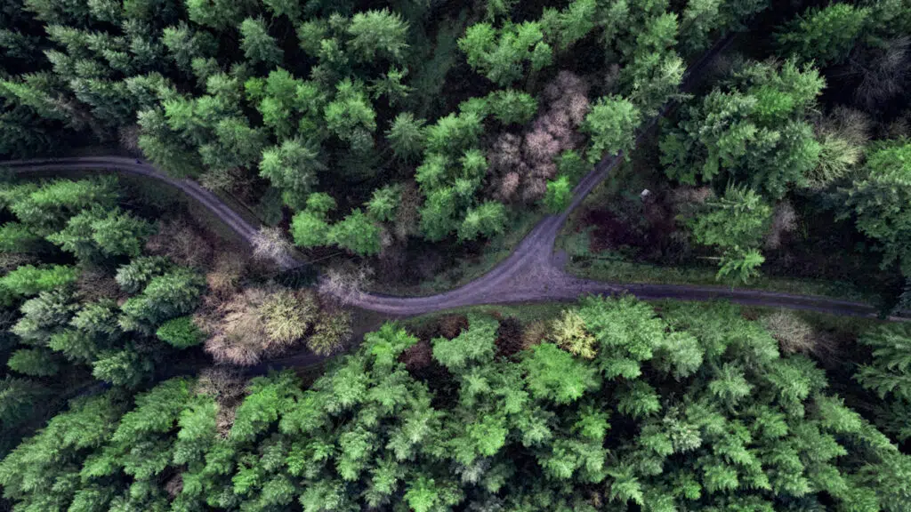  Cambridge Associates: Co-investing with LPs Can Help GPs Buy and Build Featured Image