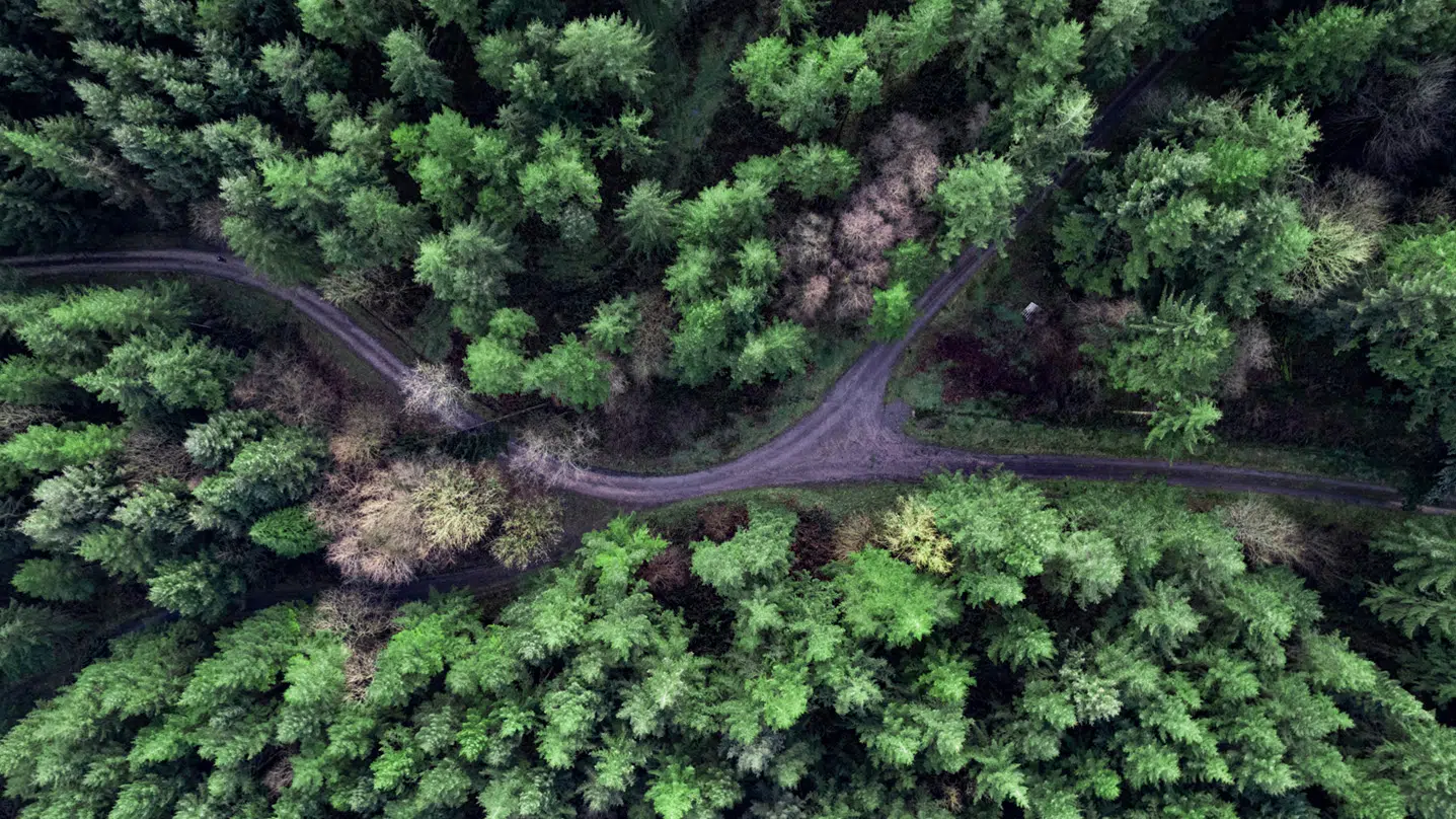 Cambridge Associates: Co-investing with LPs Can Help GPs Buy and Build