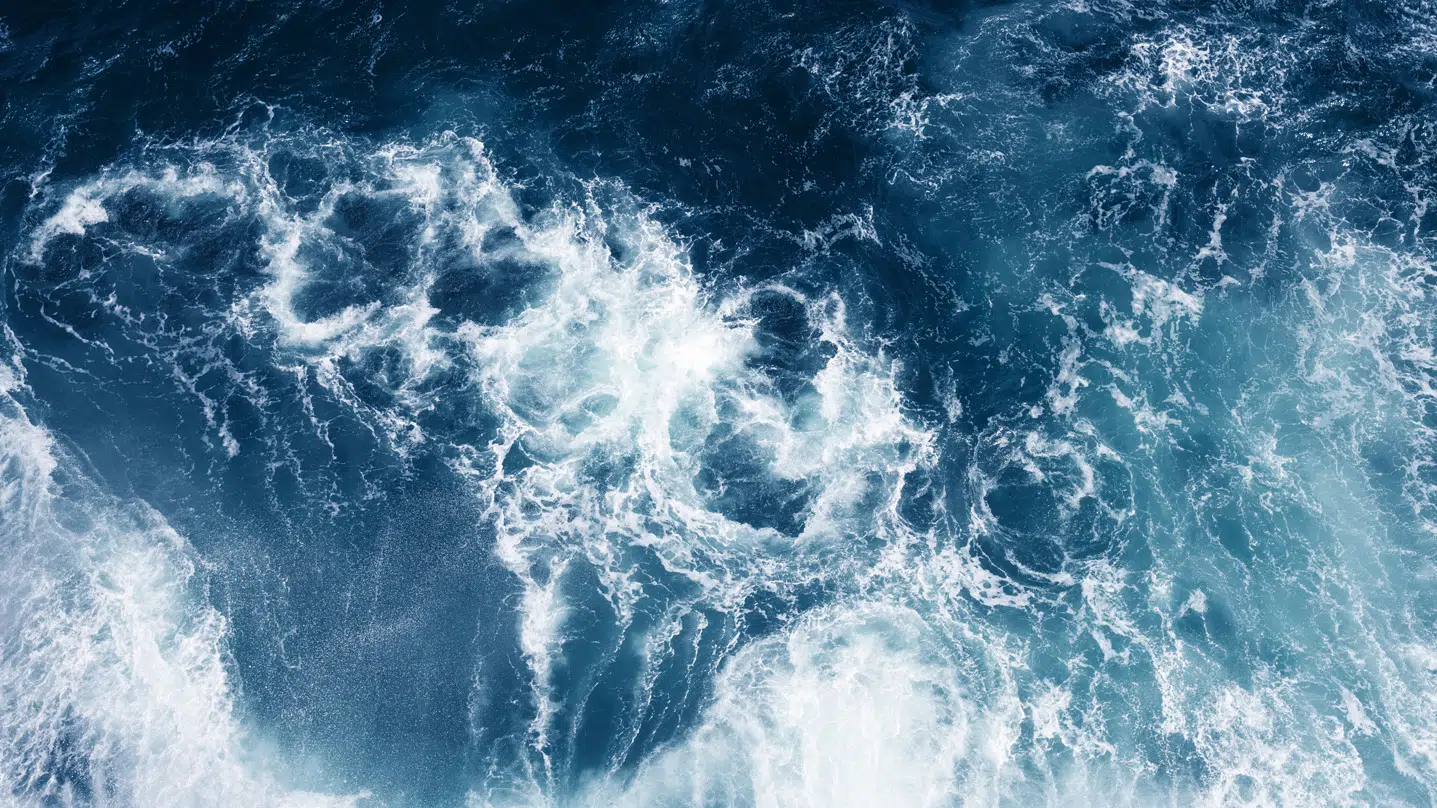 The Transformative Public University Endowment