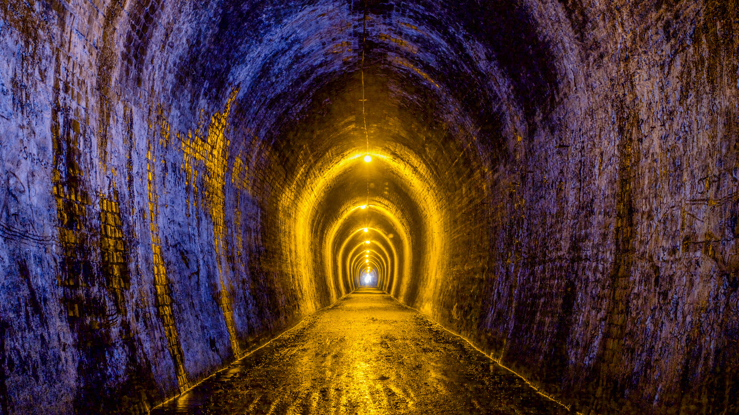 Should Investors Chase the Bitcoin and Gold Rallies?