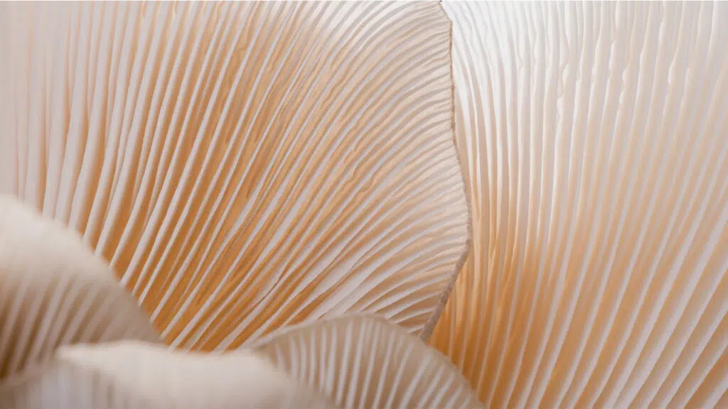  A Liability Investors’ Guide to Reassessing Hedge Funds Featured Image