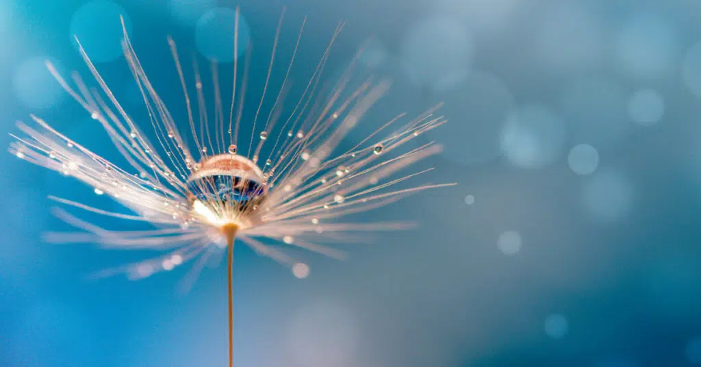  Should Investors Diversify Away From Mega-Cap Tech Stocks? Featured Image