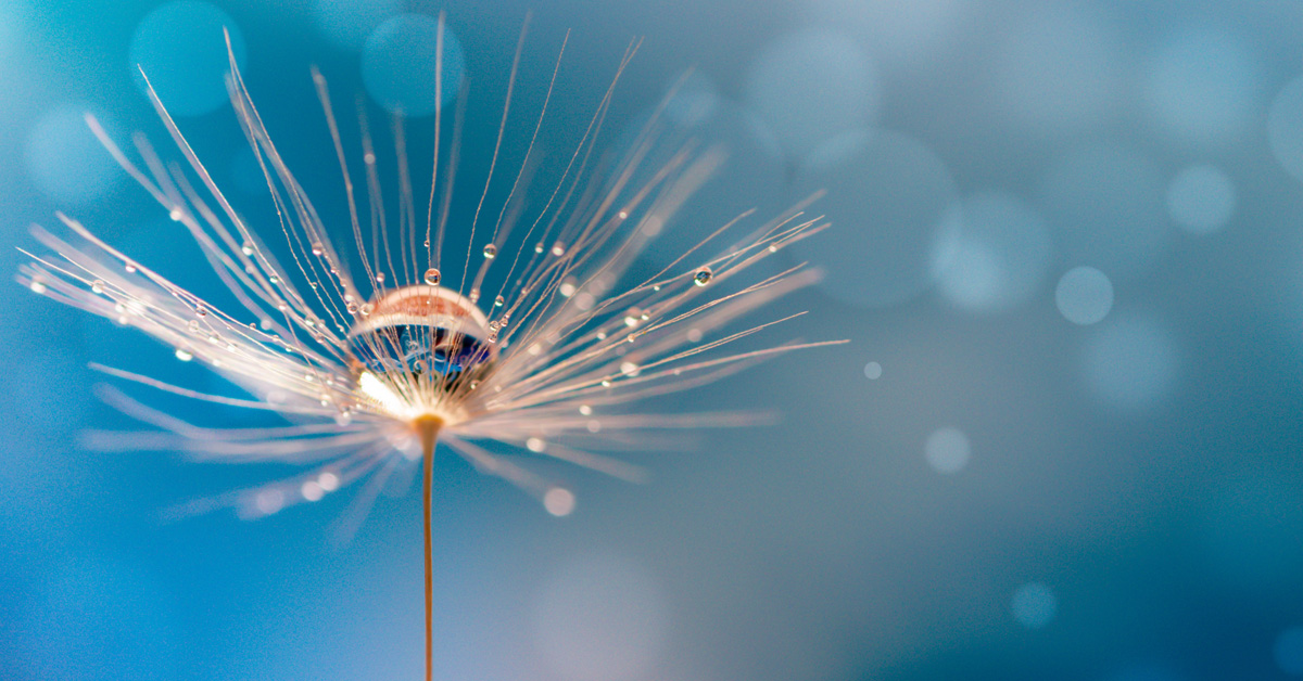 Should Investors Diversify Away From Mega-Cap Tech Stocks?