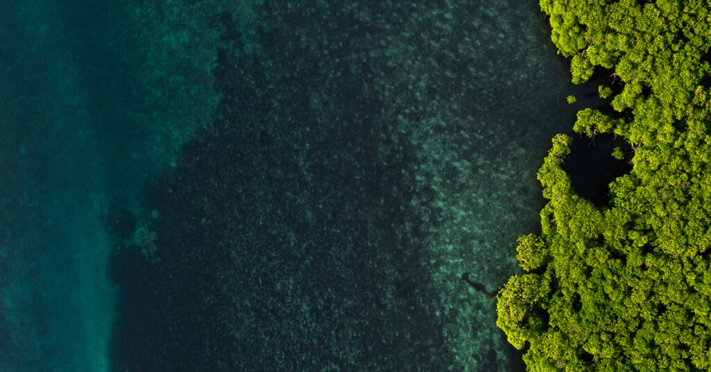  Would US Private Capital Flows into Climate Solutions Remain Strong in a Second Trump Administration? Featured Image