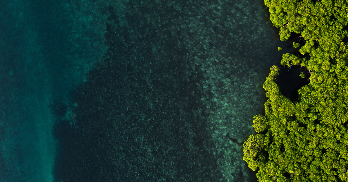 Would US Private Capital Flows into Climate Solutions Remain Strong in a Second Trump Administration?