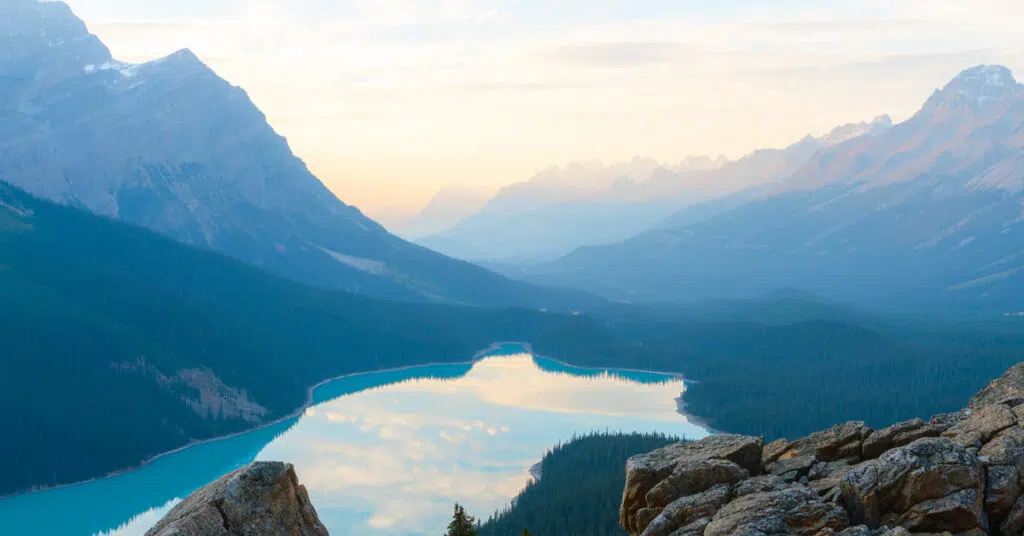  2025 Outlook Featured Image