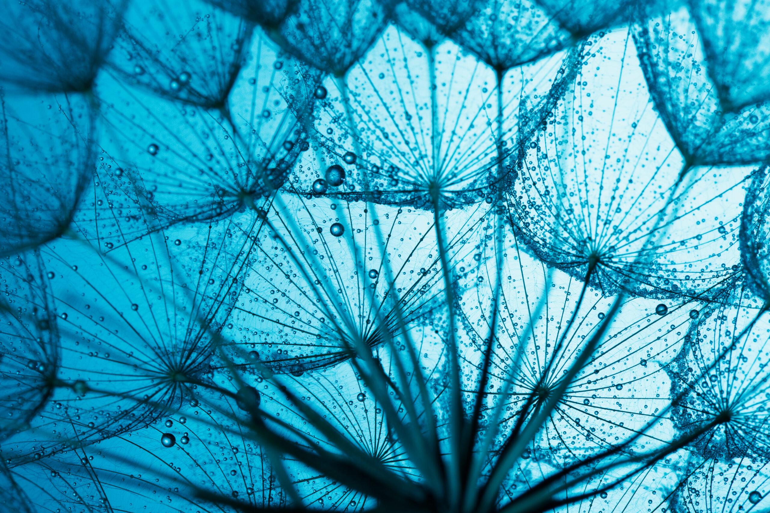 Investing In Private Equity?  The Cambridge Index Holds The Key - 35h3dci