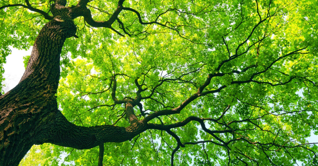  Specialty Finance Investing: A Versatile Tool for Private Credit Investors Featured Image