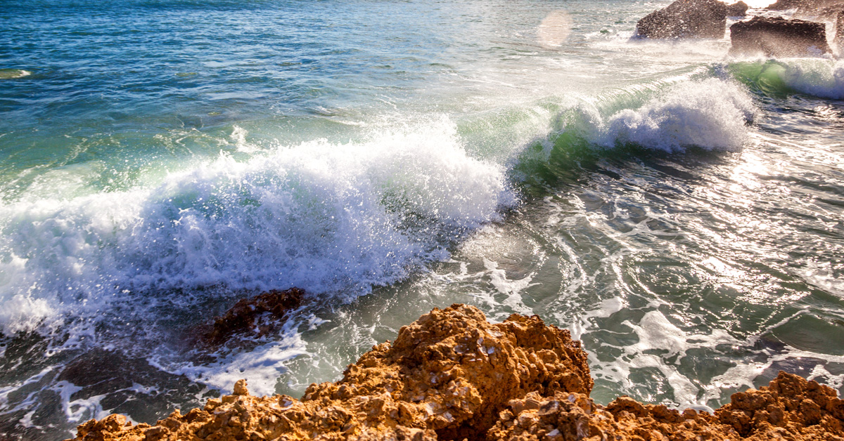 Private Markets Bracing for Tariff Impacts