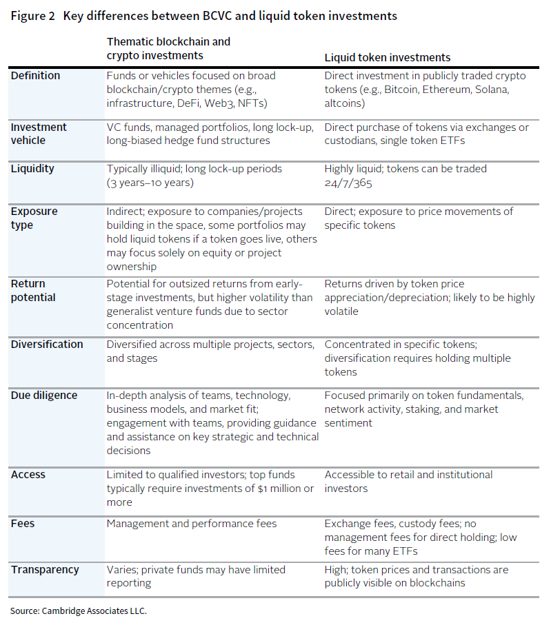 Table showing the key differences between BCVC and liquid token investments