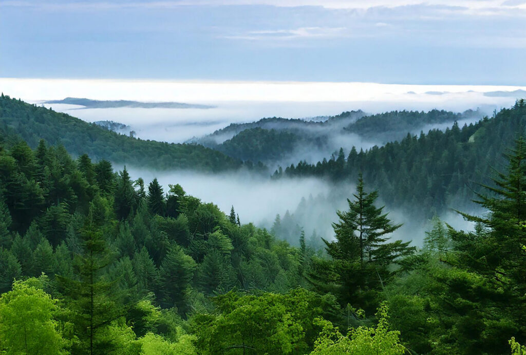  Physical Climate Risk Is Creating Opportunities in Adaptation and Resilience Featured Image