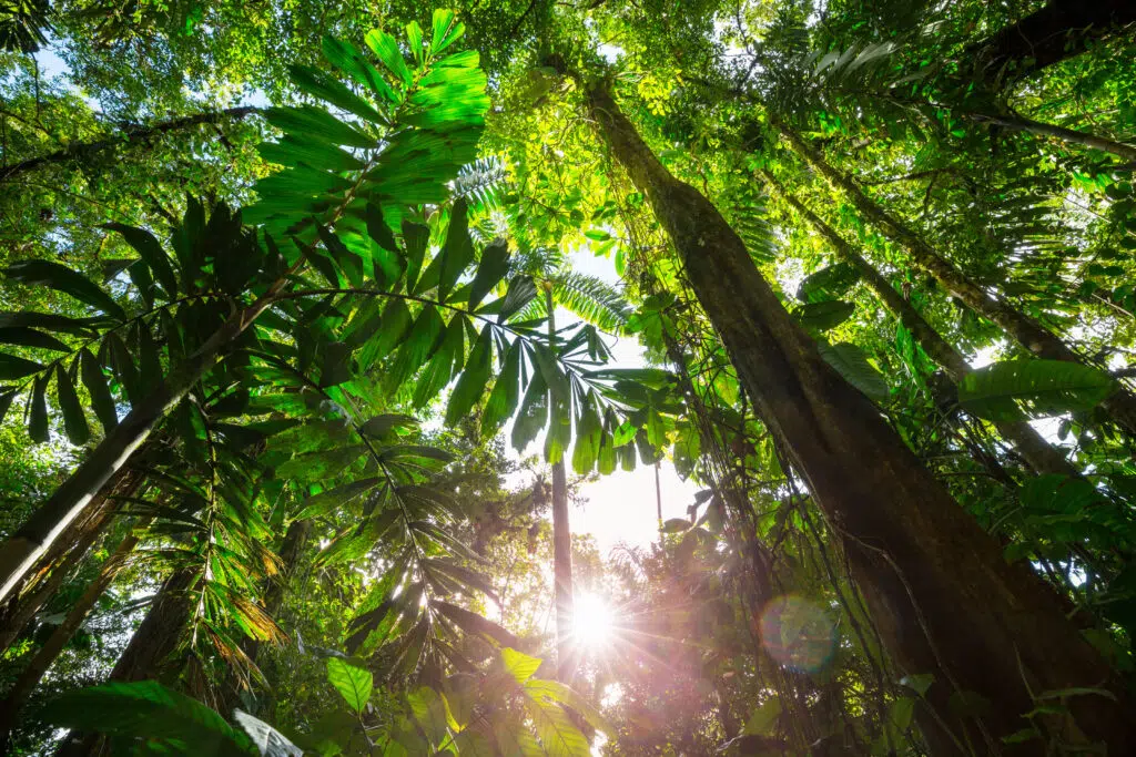  Sarah Edwards on Systemic Investing with TransCap Initiative Featured Image